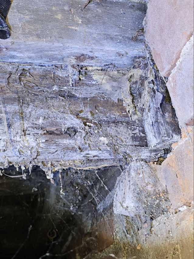 Joist rot