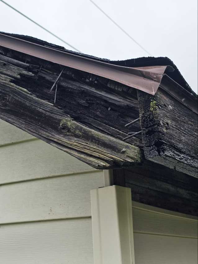 Fascia