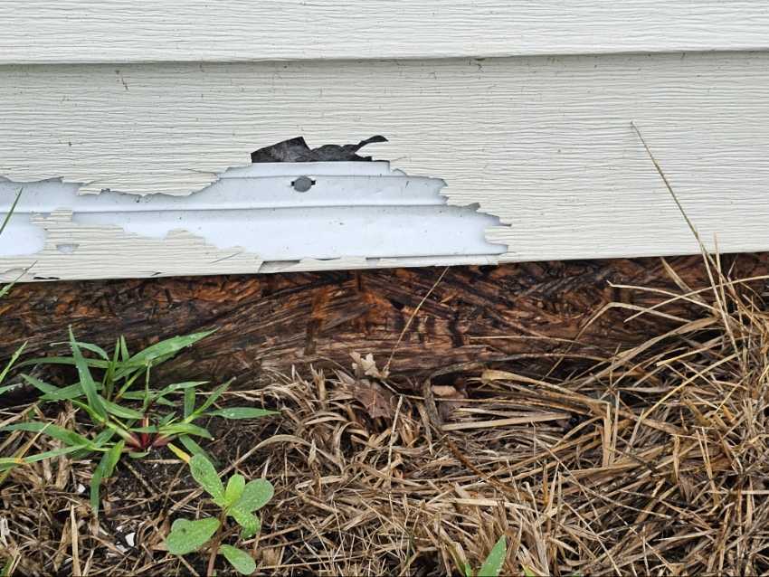 Siding