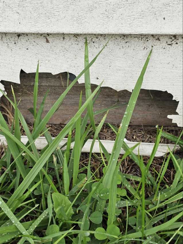 Siding hole