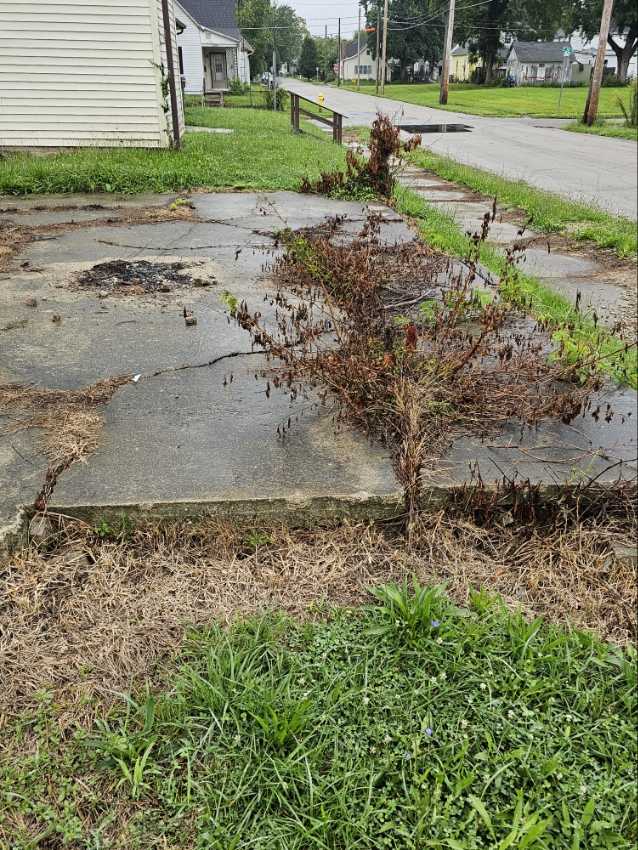 Sidewalk